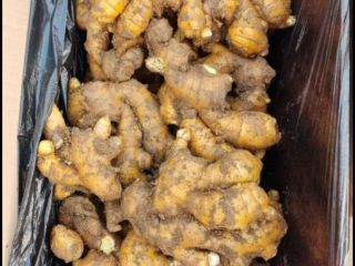 Ginger from China, it is an organic product, there