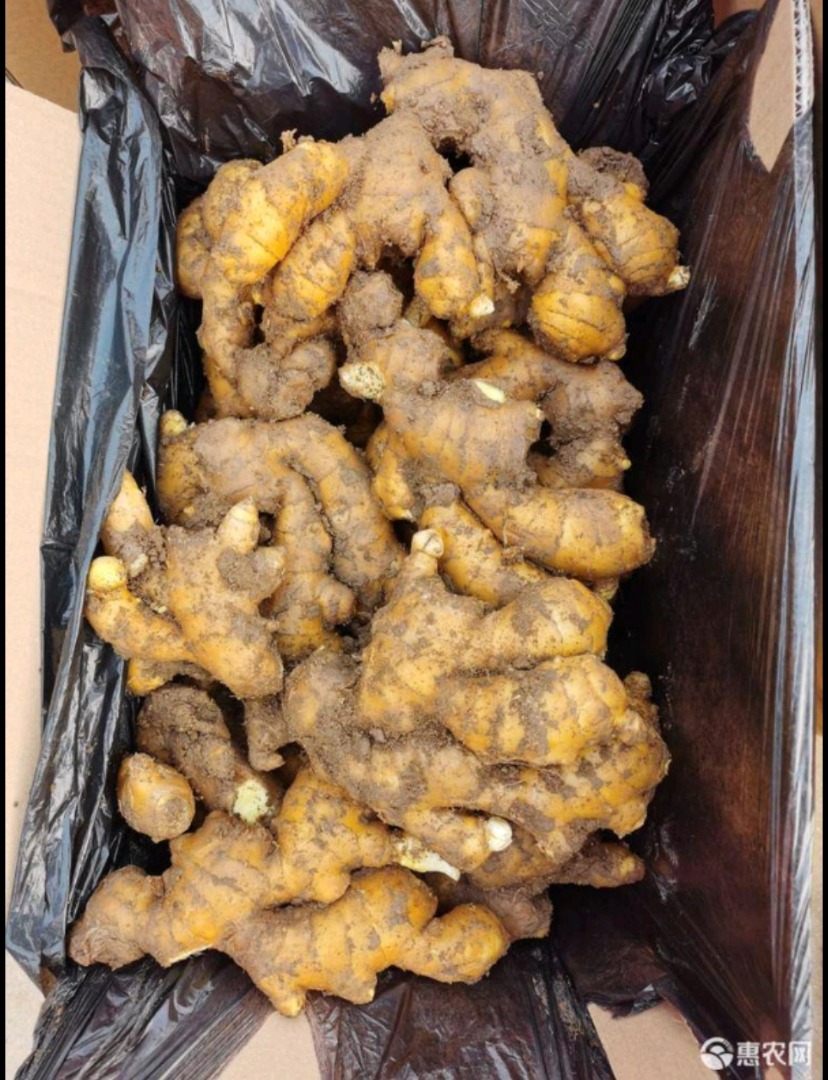 Ginger from China, it is an organic product, there are different levels of quality, so the price is also different depending on the quality, we also sell