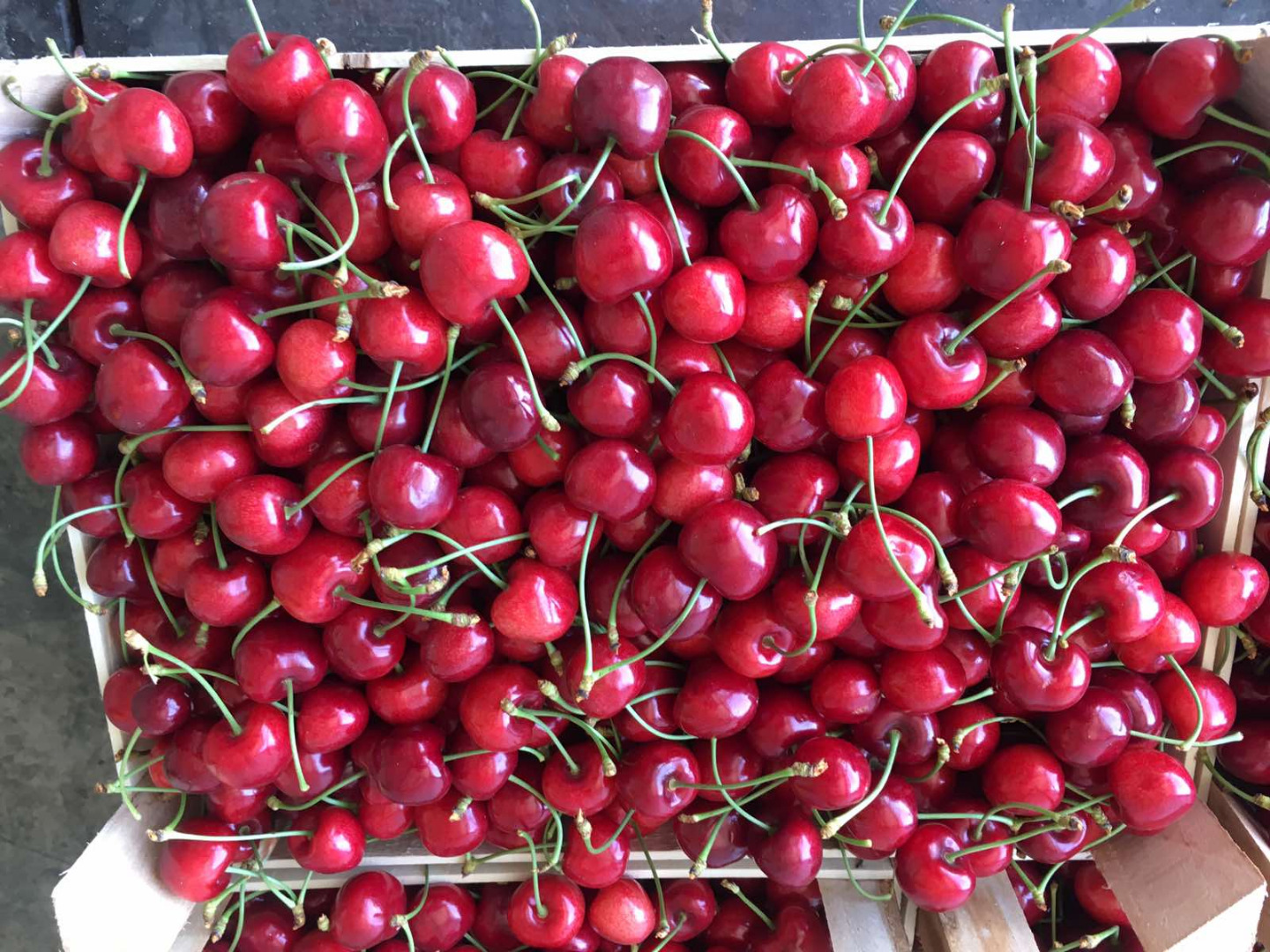 Cherry of Serbian origin caliber 24+, contact Whatsapp, Viber