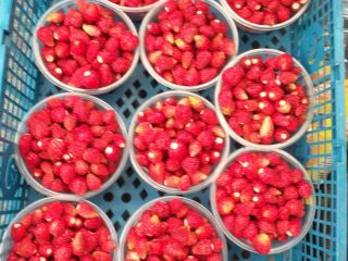 Strawberries for sale in retail quantities