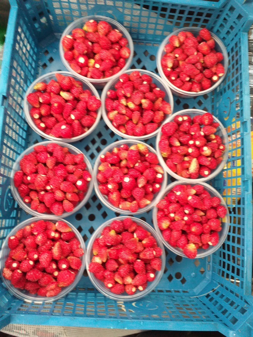 Strawberries for sale in retail quantities