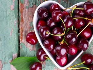 Do you know from which region in Asia harvest