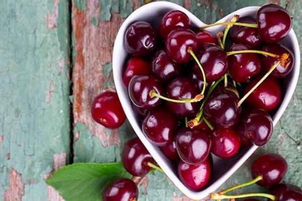 Do you know from which region in Asia harvest the best cherries and sour cherries? A small town called "Oshnavieh" in North West of Iran a city with