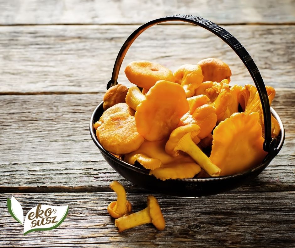 We will establish cooperation with recipients of fresh and dried mushrooms