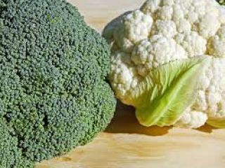 I will buy 500+ broccoli for foiling or ready-made