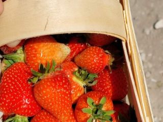 I will sell fresh strawberries of various varieties every