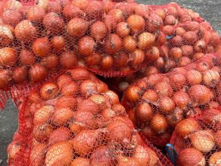 Onion origin Moldova, fruit 2020 Uncalibrated, all necessary certificates