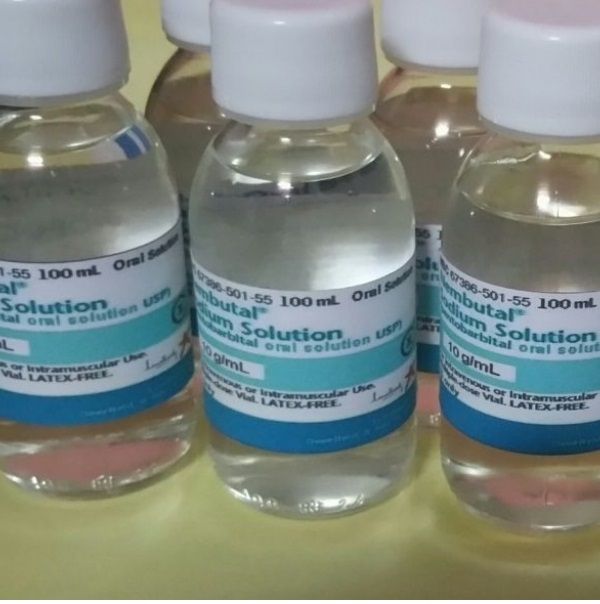 pentobarbital used as an anaesthetic We guarantee that this will be the last shop where you will buy Nembutal