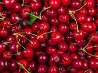 Fresh Cherry – Dark red color, juicy, sweet. Sort
