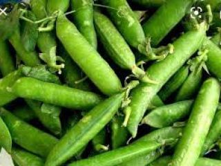 I am selling ecological, quality green peas. Location: Slobozia,