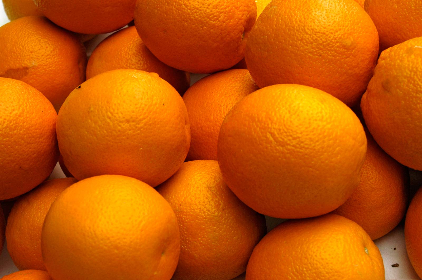Navel Orange: 44 , 48 , 56 , 64 , 72 , 80 , 88 , 100 , 105 , 113 , 125 Valencia Orange: 48, 56, 64, 72, 80, 88, 100, 105, 113, 125 Baladi Orange: 56, 64, 72