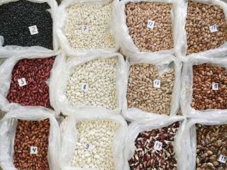 The Bins Naturproduct company offers for sale beans of