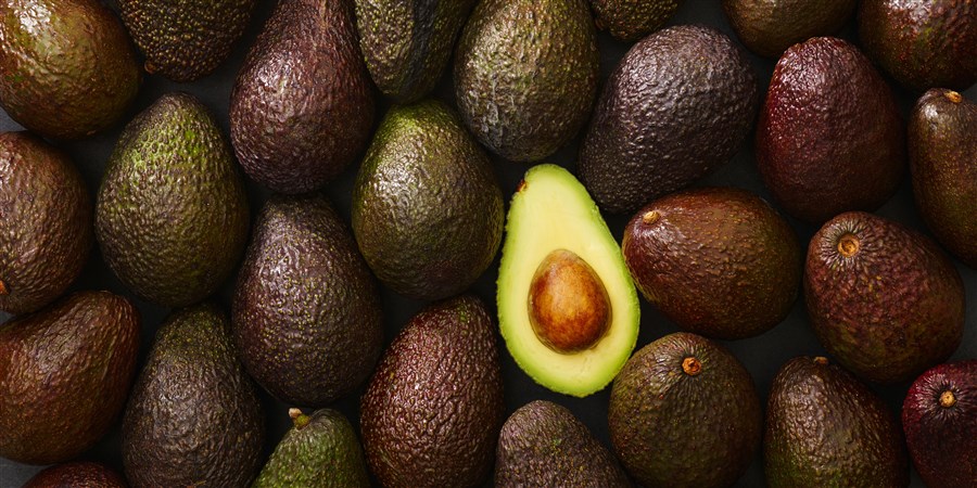 We are a company that focuses on trading and exporting the best products that Mexico has to offer