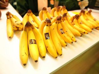 Fresh Bananas from Egypt packed into 20Kg box We