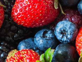 We are wholesale suppliers of berry and our company