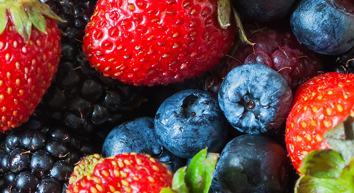 We are wholesale suppliers of berry and our company is with outstanding performance and product quality
