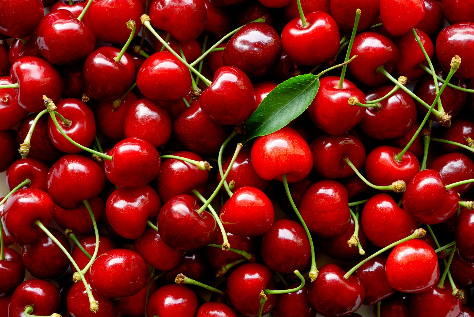 We are wholesale suppliers of cherries and our company is with outstanding performance and product quality