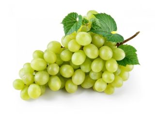 We are wholesale suppliers of grapes and our company