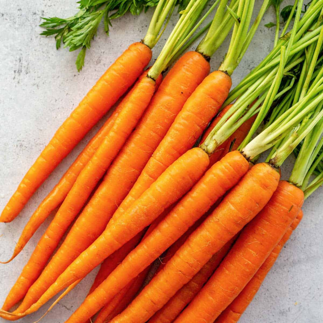 We are wholesale suppliers of fresh vegitables and carrots and our company is with outstanding performance and product quality