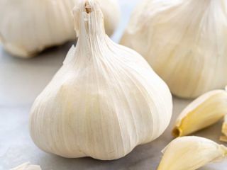 We are wholesale suppliers of fresh vegitables and garlics