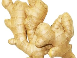 We are wholesale suppliers of fresh vegitables and ginger