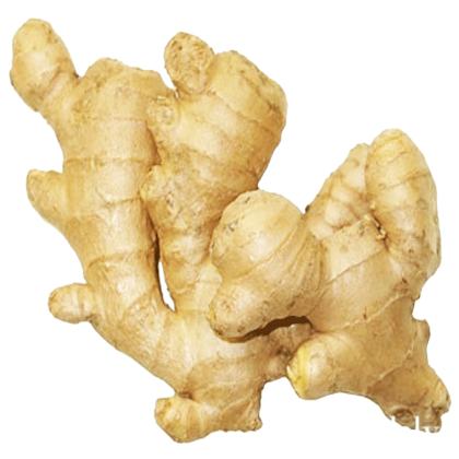 We are wholesale suppliers of fresh vegitables and ginger and our company is with outstanding performance and product quality