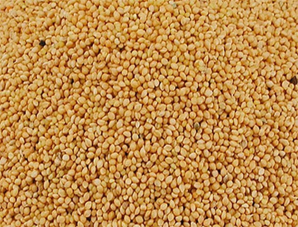 We are wholesale suppliers of Millet and other cereal products our company is with outstanding performance and product quality