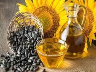 Top quality refined sunflower oil/best quality sunflower oil/sunflower oil