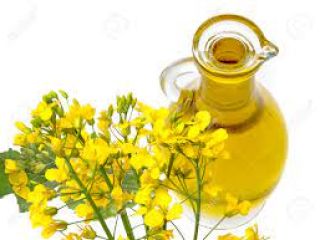 Top quality refined rapeseed oil/best quality rapeseed oil/ rapeseed