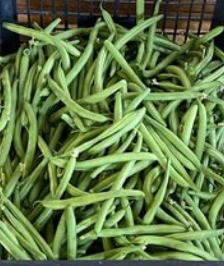 Green beans for sale