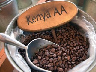 ROBUSTA Coffee Beans Price: $12.58/ Kilogram Minimum order quantity: