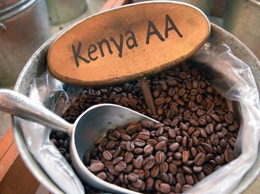 ROBUSTA Coffee Beans Price: $12.58/ Kilogram Minimum order quantity: 10,000kg Robusta Processing Method: Natural Grade: B (14-15sc) Weight: 50-60 kgs / bag