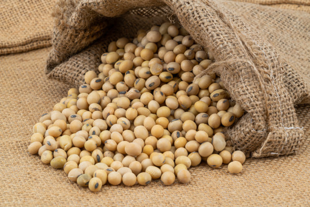High Quality Soy beans in bulk quantity for export at cheap rates High Protein Yellow Soybeans, gold color well dried