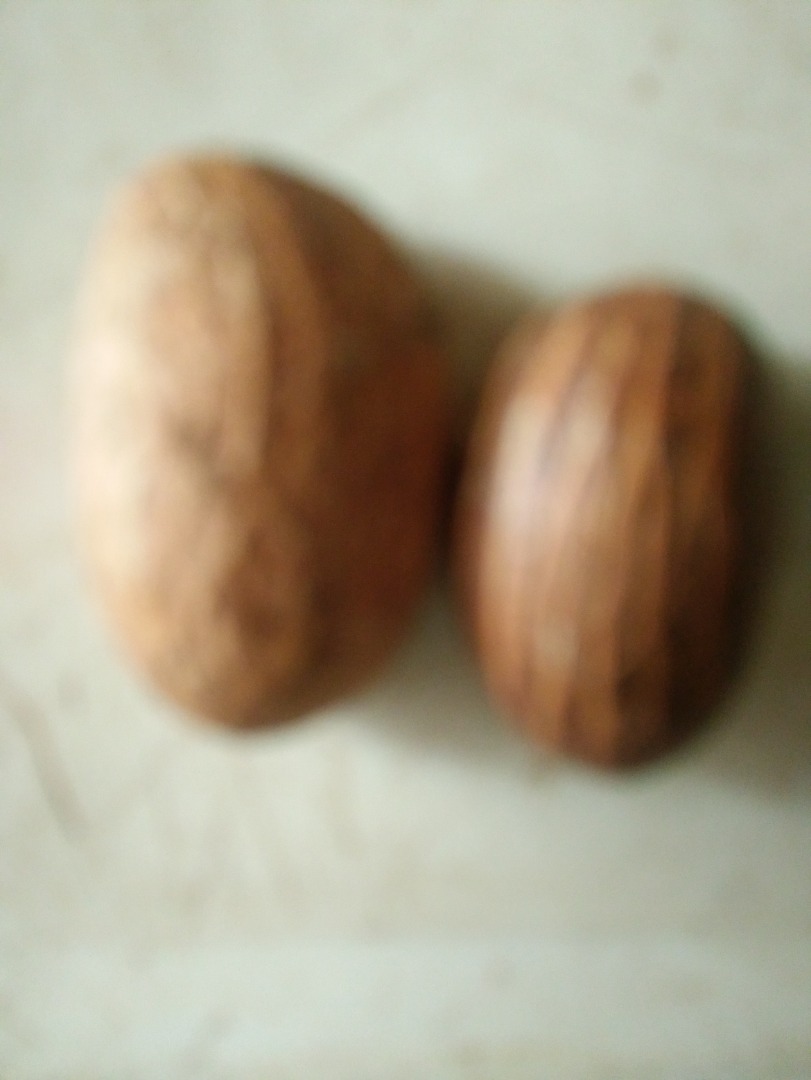 Bitter Kola, also known as Garcinia Kola,is generally good for Health.It lmproves immune system.It improves the function of the lungs.It improves Sexual