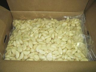 High quality fresh Peeled white Garlic ready for export
