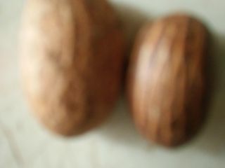 High Quality Bitter Kola,also known as Garcinia Kola.It improves