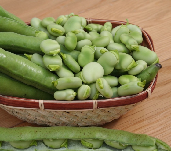 Broad beans for sale
