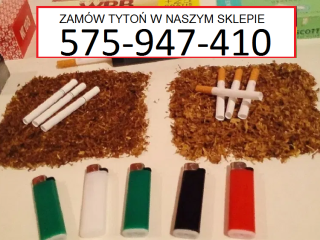 Tobacco Shop Offers the best cheap cigarette tobacco on