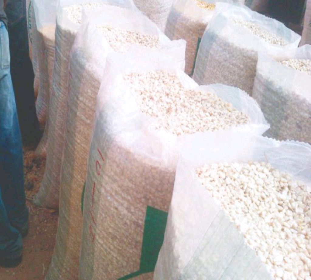 100kg bag of corn grains 270 bags available I.E total of 27000kg grains available
