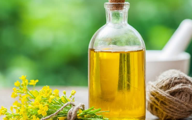 Refined Canola In Rapeseed Oil We supply 100% Pure Refined Canola oil/Rapeseed Oil with varieties; Refined Sunflower Oil, Refined Corn Oil, Refined Soybeans
