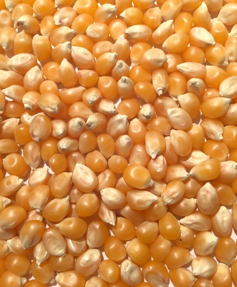 YELLOW CORN Maize/Corn Product Name Yellow Maize Purity 98 % min Grade 2& 3 Moisture 14% max Protein 10% min Foreign Matter 2-3 Max Weevil Led seed 2-3 % max