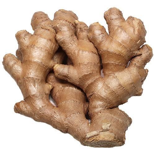 GINGER Ginger can be used fresh, dried, powdered, or as an oil or juice