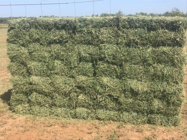ALFALFA BALE High quality Alfalfa bales Weight: 750 & 800 KG – 400KG (on inquiry) Lengths: 2.20 - 2.30 meters Width: 1 – 1.1 meters Height: 80 meters Protein: