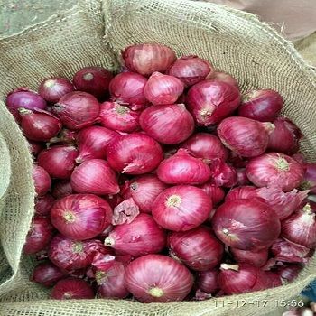ONION color red Varitey red onion Save time All year round Minimum quantity 30 tons Delivery time Within 7 days Size 5-7cm,7-8cm,9-11cm Weight Certification
