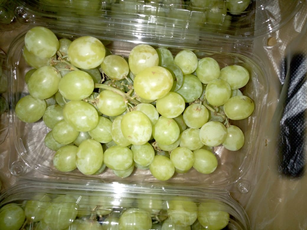 Fresh Grapes superior, scarlet, red ball - Packaging: 4.5 kg net weight of the carton, 10 plastic bags per carton, each plastic bag weighing about ± 500 grams