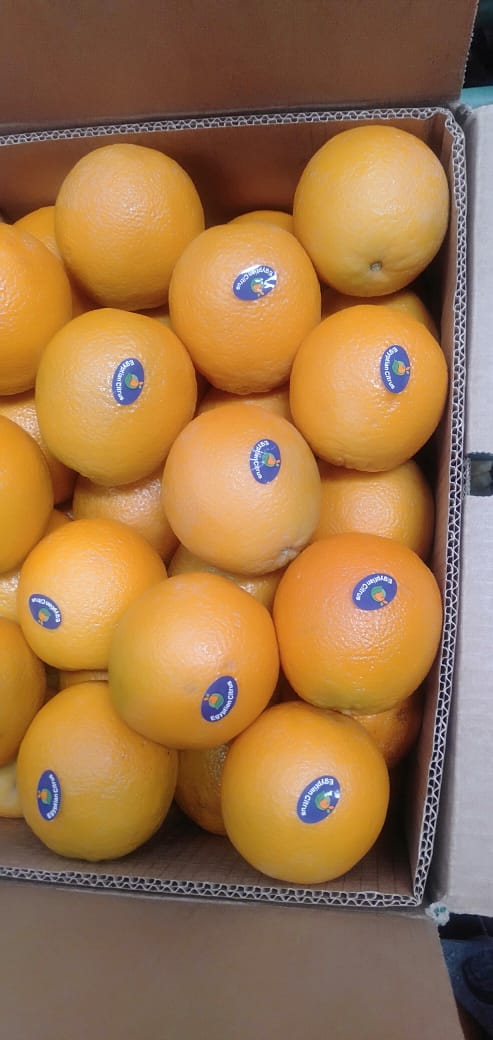 Hello, REGULAR DELIVERY EVERY WEEK, only for this month (until the end of harvest) I will sell in trucks and pallets VALENCIA orange, class A., rigin EGYPT