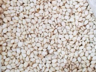 Sudanese white sesame seeds, first sorting