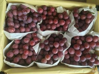 we have fresh products and for more details, please