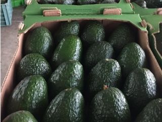 we have fresh products and for more details, please