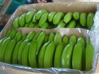 we have fresh products and for more details, please